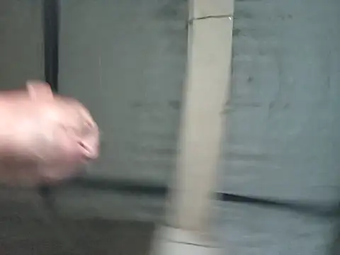 strip 1212 online show from November 2025 11:48:01 PM