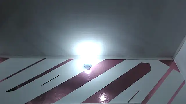 Kitten Hot  online show from December 2025 11:10:01 PM