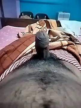 dick 01728 online show from November 2025 05:47:01 PM