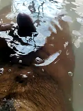 mysterious guy kakashi1 online show from February 2026 09:41:01 AM