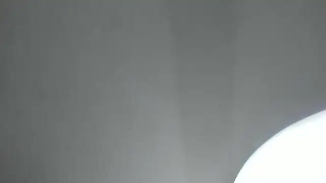 PandoraRider online show from April 2026 01:34:02 PM