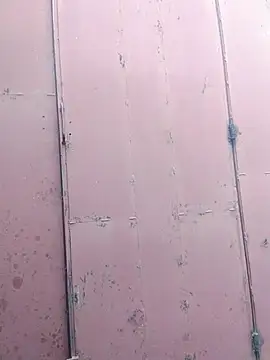 Polygamist online show from December 2025 07:46:02 AM