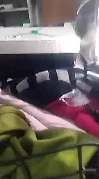 Snapshot of 6MataGarcia chatting on December 2024 01:50:02 AM 6MataGarcia online show from December 2024 01:50:02 AM