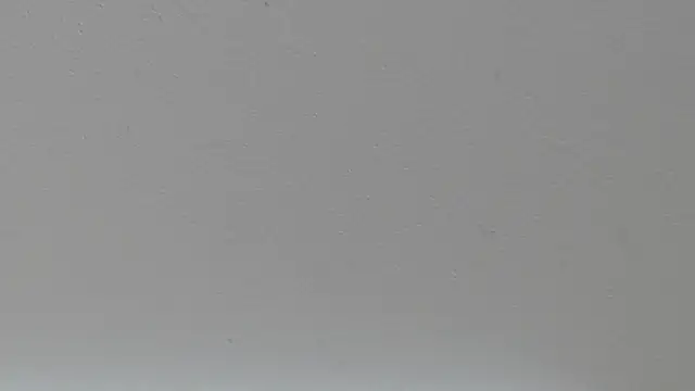 pathogen1 online show from January 2026 09:36:01 AM