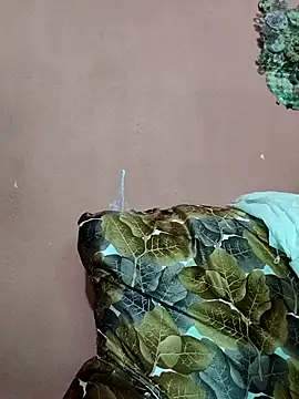 Indian Carolina online show from February 2025 08:17:01 AM