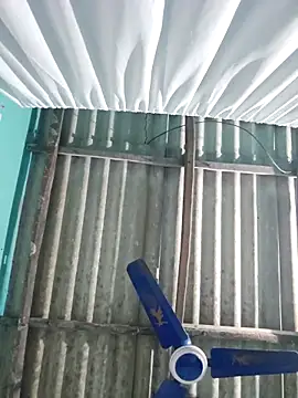 hotbaby 5 online show from November 2025 01:08:02 AM