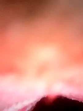 Avantika19 online show from January 2025 12:13:01 PM