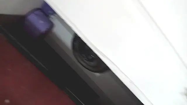 PetiteIvoryQueen19 online show from March 2025 03:40:01 AM