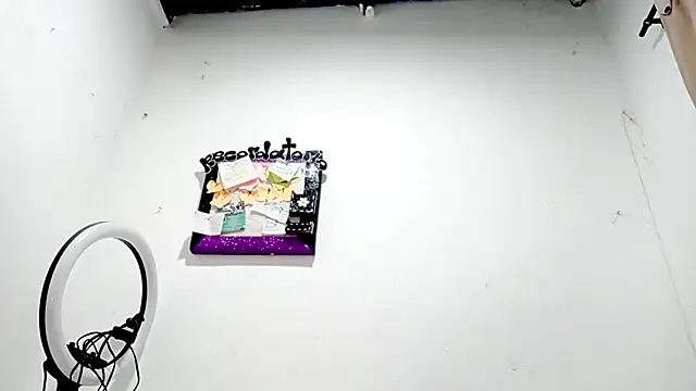 PetiteIvoryQueen19 online show from December 2025 04:19:01 AM