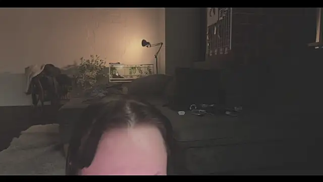 vinylstore online show from January 2025 03:40:01 PM