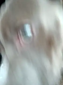 hoesinthishouse78 online show from November 2025 08:52:01 PM