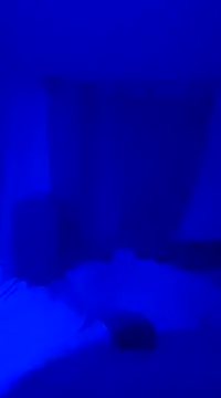 Snapshot of sexsuchti80 chatting on March 2025 11:09:02 PM sexsuchti80 online show from March 2025 11:09:02 PM