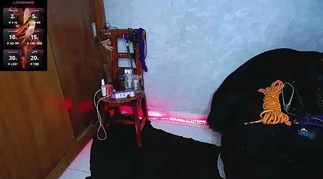 mysteery katty  online show from December 2024 09:31:01 PM