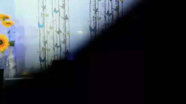 nova sex01 online show from March 2025 04:28:02 AM