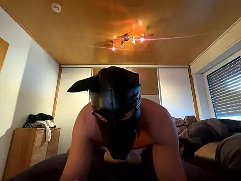 Snapshot of PlayDog123 chatting on January 2026 01:49:01 PM PlayDog123 online show from January 2026 01:49:01 PM