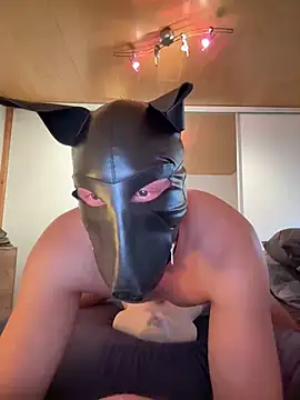 Snapshot of PlayDog123 chatting on March 2026 04:23:01 PM PlayDog123 online show from March 2026 04:23:01 PM