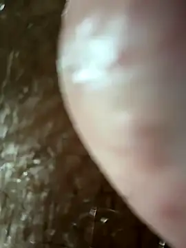 panigalenew online show from December 2024 01:58:01 AM