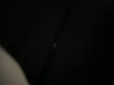 Redfurr69 online show from December 2024 09:10:01 AM