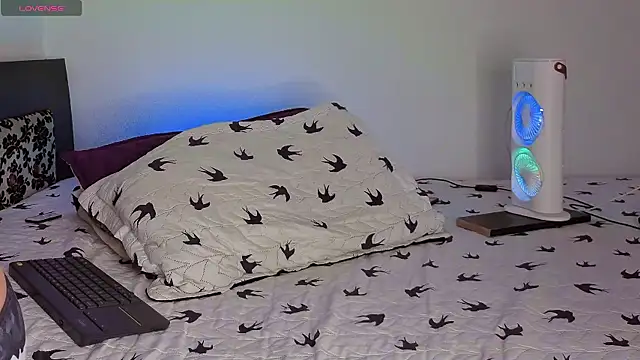 KALE 19 online show from November 2025 01:49:02 AM