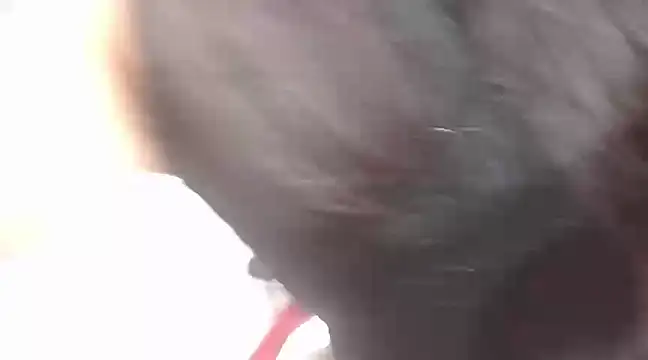 Snapshot of viki_mom chatting on January 2025 10:08:02 PM viki mom online show from January 2025 10:08:02 PM