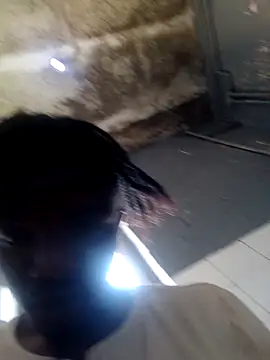 Xmint231 online show from March 2026 10:43:01 AM