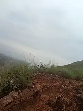 PervertedMature online show from November 2025 11:44:02 AM