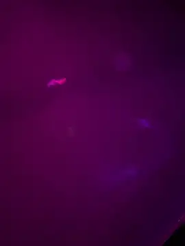 Alahia7demon online show from March 2026 10:18:01 AM