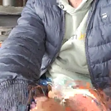 Lumpi1988A online show from February 2026 11:39:01 AM