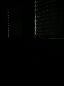 Rahul sub online show from March 2025 07:48:01 PM