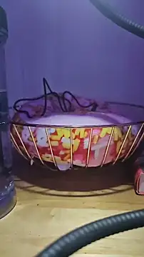 MissyLovexxx online show from December 2024 12:11:02 PM