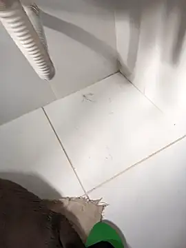 lobomisterioso13 online show from March 2025 12:07:02 PM