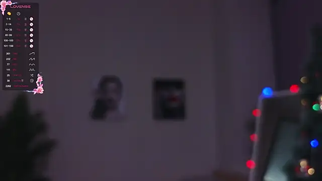 Snapshot of DawnGammell chatting on December 2024 10:45:01 PM DawnGammell online show from December 2024 10:45:01 PM