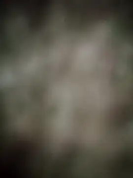 INDIANBOY7439 online show from March 2026 10:33:01 AM