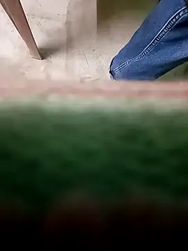 Snapshot of NICK_IN chatting on December 2024 02:37:02 PM NICK IN online show from December 2024 02:37:02 PM