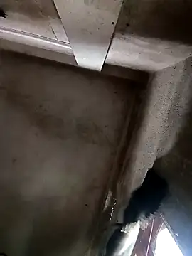 Snapshot of NICK_IN chatting on October 2025 03:52:02 AM NICK IN online show from October 2025 03:52:02 AM