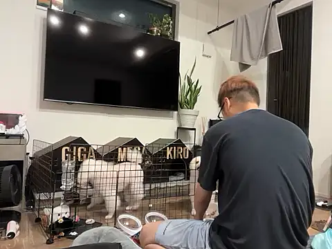 kensnb online show from September 2025 08:00:02 PM