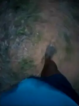 although35 online show from February 2025 05:04:02 PM