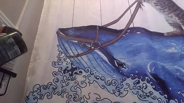 clitstitsandbongrips online show from September 2025 06:03:01 AM