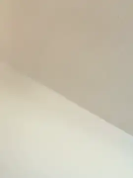 Snapshot of TransboyJay chatting on February 2026 05:31:01 PM TransboyJay online show from February 2026 05:31:01 PM