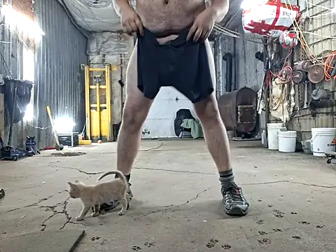 Frankdick01 online show from November 2025 04:12:02 AM