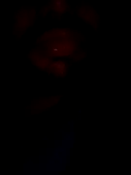 Snapshot of mohitsexy12 chatting on December 2024 05:33:01 PM mohitsexy12 online show from December 2024 05:33:01 PM