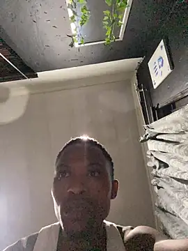 BlueIceCube online show from February 2026 04:51:02 PM