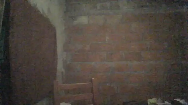 Snapshot of elsaiya chatting on September 2025 12:01:02 AM elsaiya online show from September 2025 12:01:02 AM