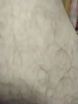 Opsquad12345 online show from October 2025 02:26:01 PM