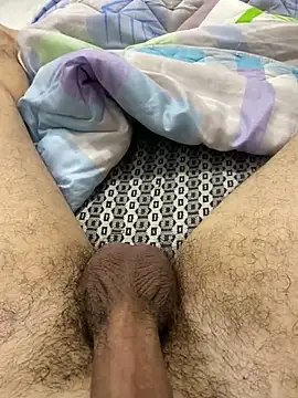 Snapshot of dzpoweralg chatting on February 2025 01:37:01 PM dzpoweralg online show from February 2025 01:37:01 PM