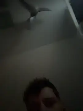 janberlin online show from February 2026 08:02:02 AM