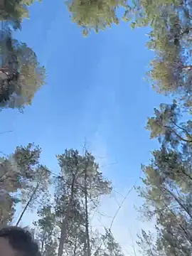 janberlin online show from March 2026 09:38:01 AM