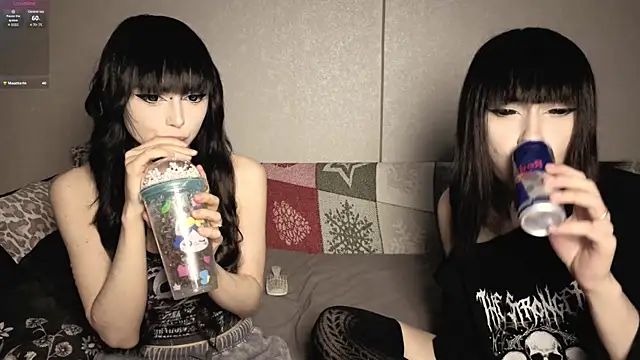 SIBBLlnGraypac online show from April 2026 02:37:02 PM