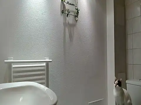 Lauzo21 online show from March 2026 06:29:01 AM