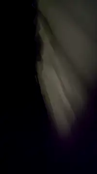 BurroParao online show from December 2024 02:20:01 AM